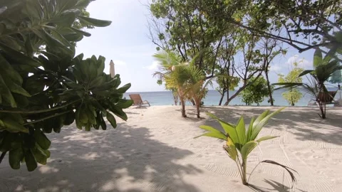 Beach walk in Maldives 動画素材 160127344