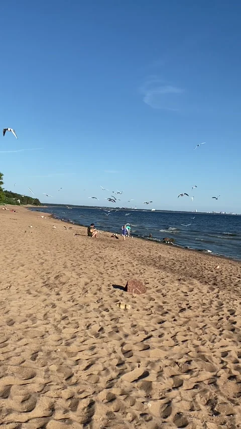 Beach walk, sunset light Stock Footage 142667673