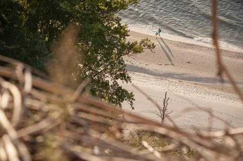 Beach Walk at Sunset with Trees in Foreground Stock Photos