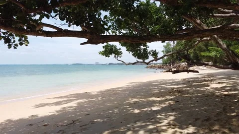 Beach walk through 動画素材 234199559