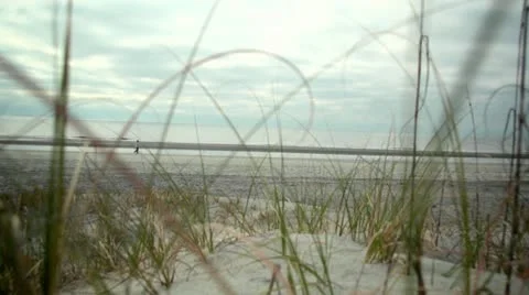 Beach Walker Stock Footage 10870918