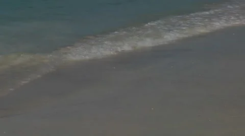 Beach Walkers Stock Footage 48864723