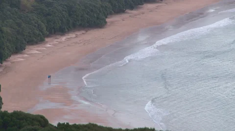 Beach  walkers on reddish sand beach long shot Stock Footage 39494499