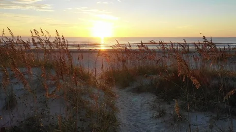 Beach walkover at Sunrise Stock Footage 114200187