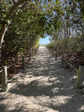 Beach Walkway Access. Stock Photos