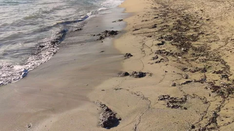 Beach with waste after the storm. Видео 329508382