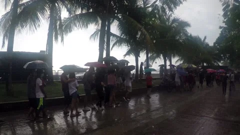 Beach watchers queue in the midst of rain on bay walk to view dolomite sand Stock Footage 139602043