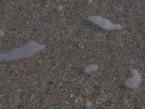 Beach Water 1 Stock Footage 8692010