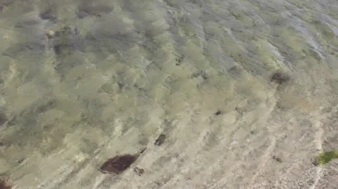 Beach Water Vidéo 11883045