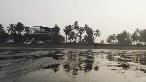 Beach Water with Reflection of Trees Cinematic Stock-Footage 332107719