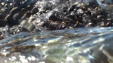 Beach water rushing into a tide pool muscles on rock Stock Footage 54294538
