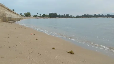Beach water wave Stock Footage 240305604