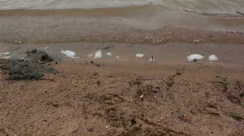 Beach Waters Edge  Stock-Footage 1091361