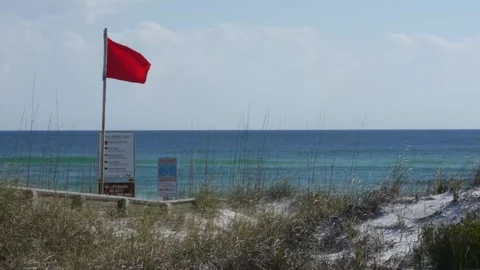 Beach Wave Flag Animation Loop Stock Footage 307908020
