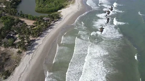 BEACH WAVES AND COCONUT TREES Stock Footage 156720439