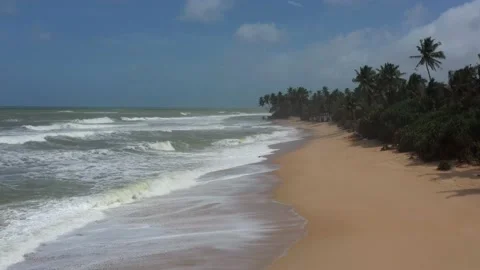 Beach with waves and palm trees in cloudy weather Stock Footage 202702490