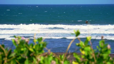 Beach Waves Behind Coastal Greenery Stock Footage 337526792