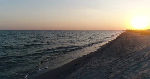 Beach, waves, flying seagulls Stock Footage 138252627