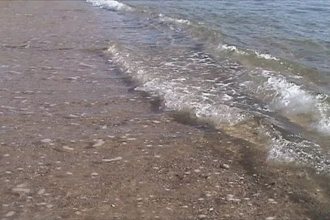 Beach waves Stock Footage 110046