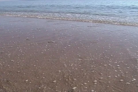 Beach waves Stock Footage 116886