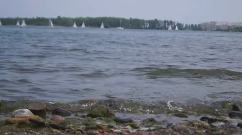 Beach waves Stock Footage 11495831