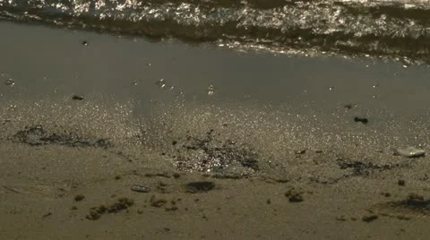 Beach waves Stock Footage 12188426