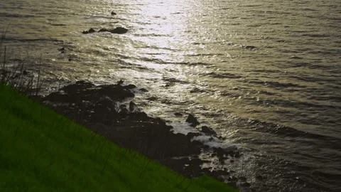 Beach waves with grass color graded 4K Stockbeeldmateriaal 170801508