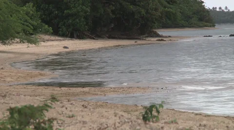 Beach waves ground shot Видео 30682993