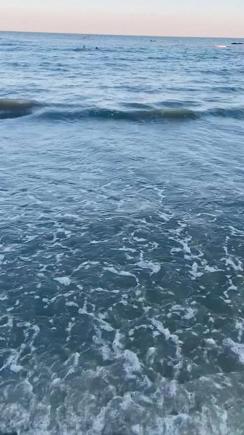Beach waves lapping on sand calm and relaxing - stock footage video Stock Footage 205565462
