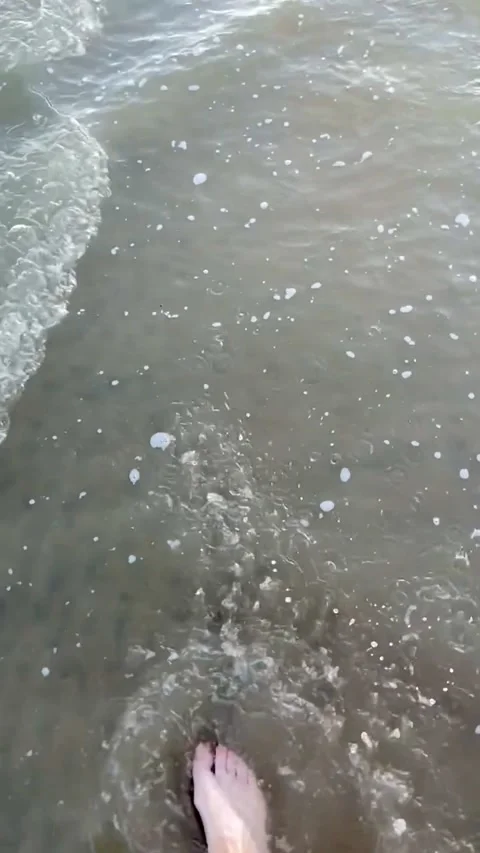 Beach waves lapping on sand calm and relaxing - stock footage video Stock Footage 205565630