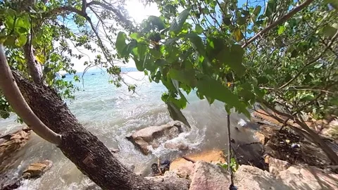 Beach waves, leaf, and rock with windy green leaf as foreground 100fps slow.. Stock Footage 269328824