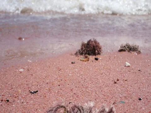 Beach waves nature background Stock Footage 74513593