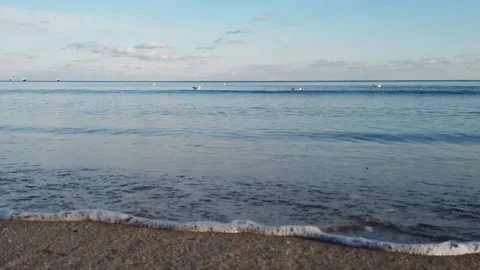 Beach with waves sand and seagulls Stock Footage 142470918