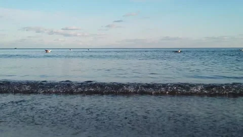 Beach with waves sand and seagulls Stock Footage 142470939