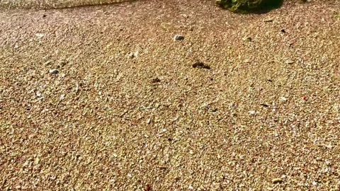 Beach Waves on sandy beach Stock Footage 294300525