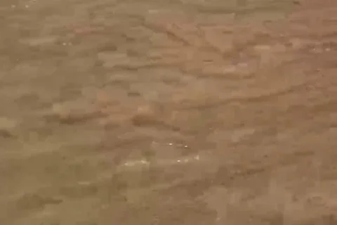 Beach Waves Slow Motion 7 Stock Footage 96344737