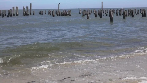 Beach Waves Slow Motion Stock Footage 71783299