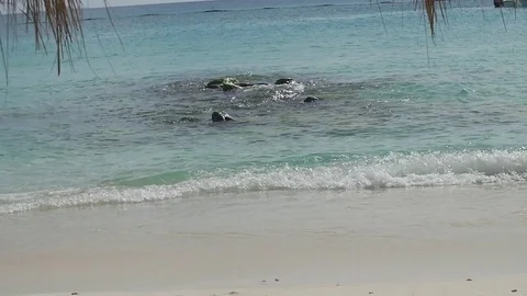 Beach Waves Small With Boat Slow Motion 4k Stock Footage 73560309