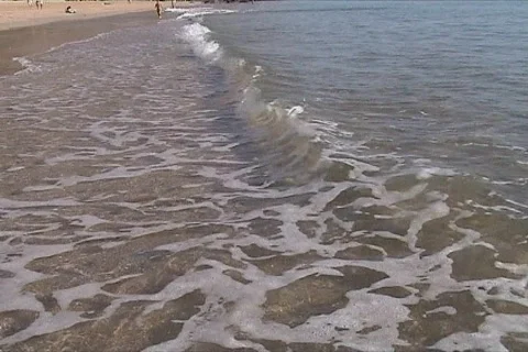 Beach waves in summertime Video stock 118151