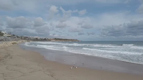 Beach with Waves Timelapse Stock Footage 119033881