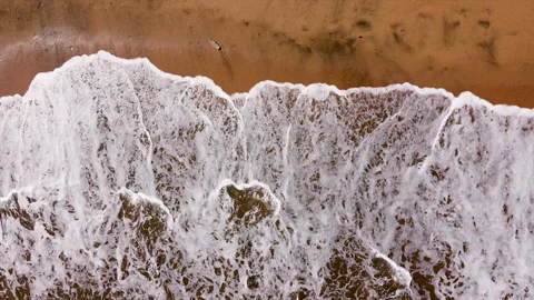 Beach waves touching plastic bottle Stock Footage 276914013