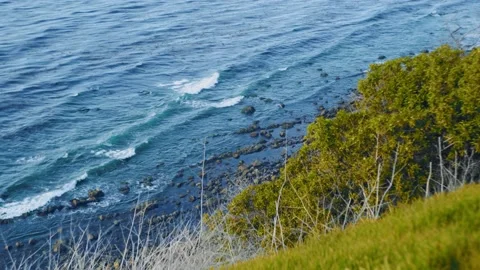 Beach Waves with trees color graded 4K Stockbeeldmateriaal 170801355