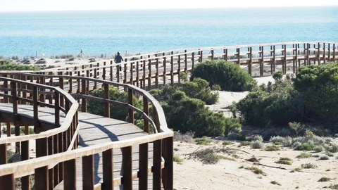 To the beach we jog Vídeos de archivo 89700174