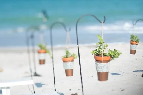 Beach Wedding Фото