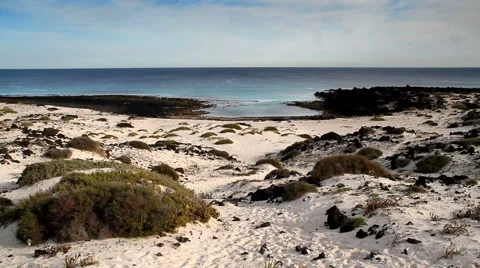 Beach of white sand Stock Footage 51991022