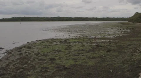 Beach wide 動画素材 41233508