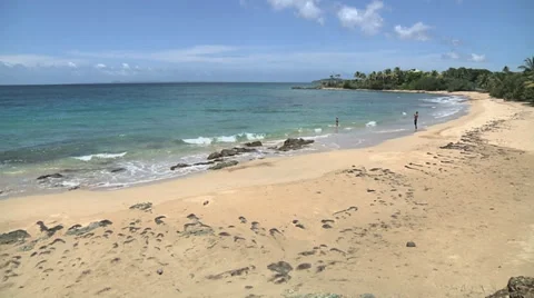 Beach wideshot right Stock Footage 30888091