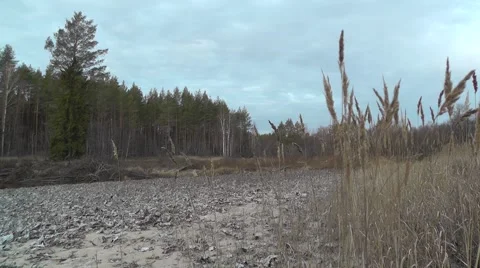 Beach wild river autumn Stock Footage 45882684