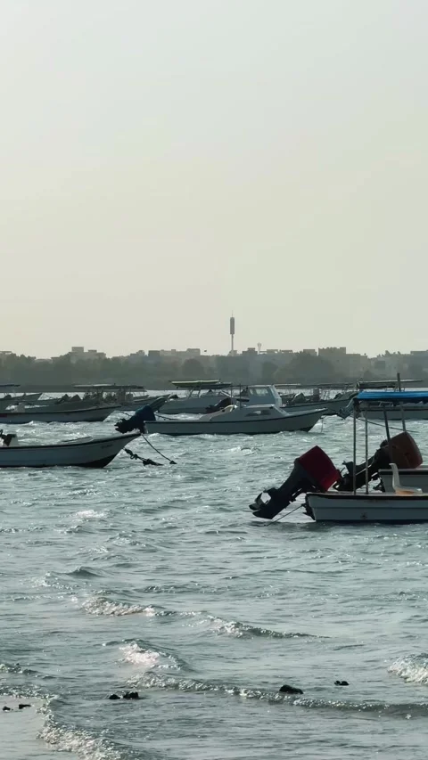 Beach windy Stock Footage 261575509