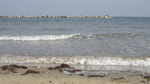 Beach in winter in the Adriatic Sea Stock Footage 96239022